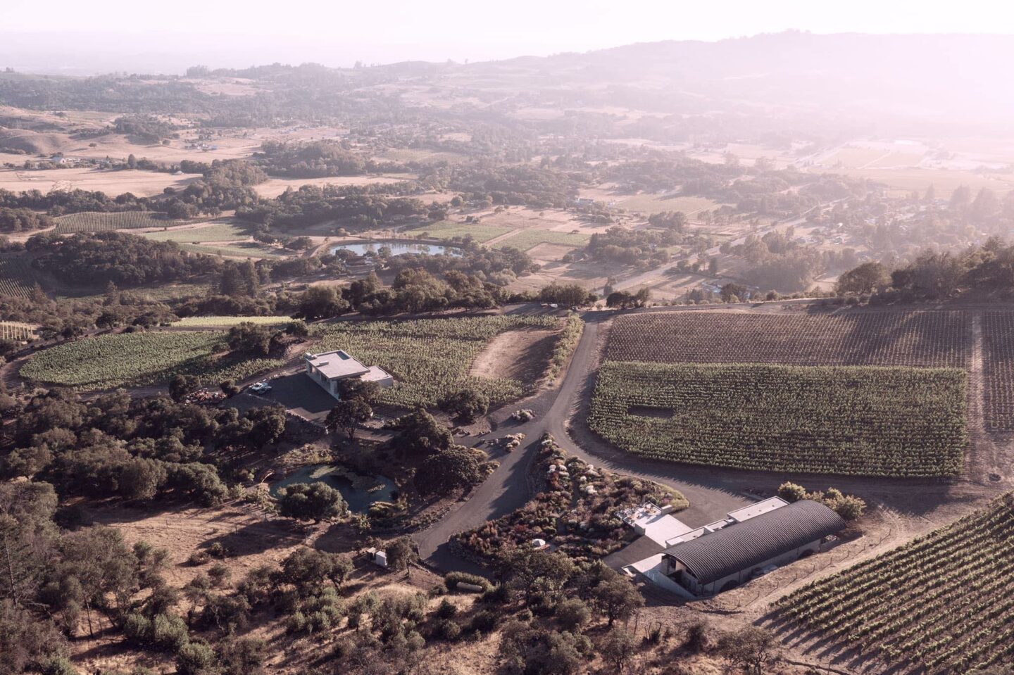 Coursey Graves Winery and Estate