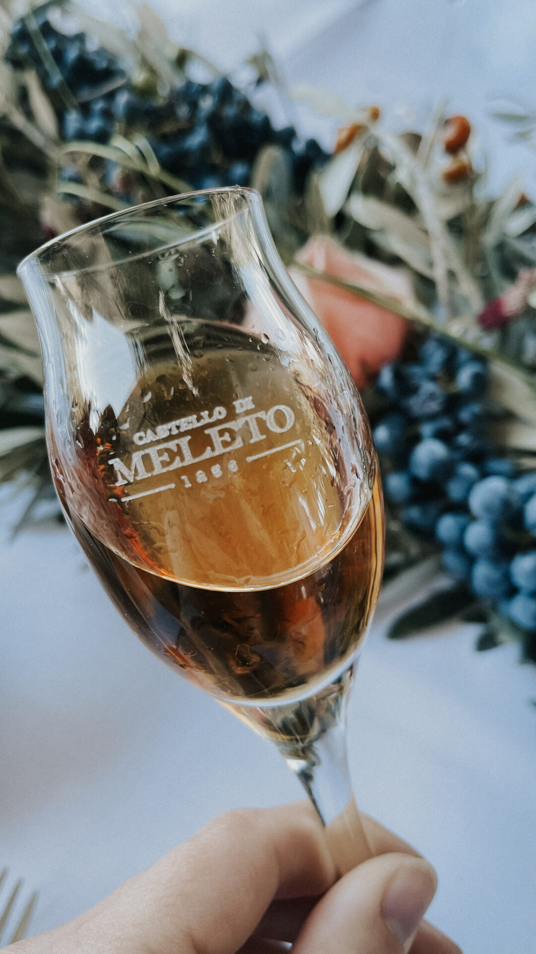 Castello di Meleto Vin Santo wine