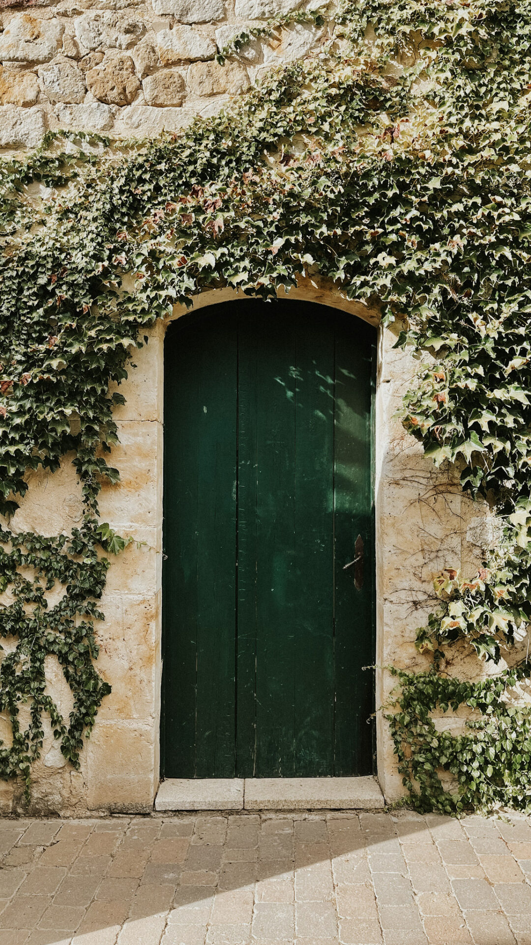 Bodegas Marqués de la Concordia green door with ivy