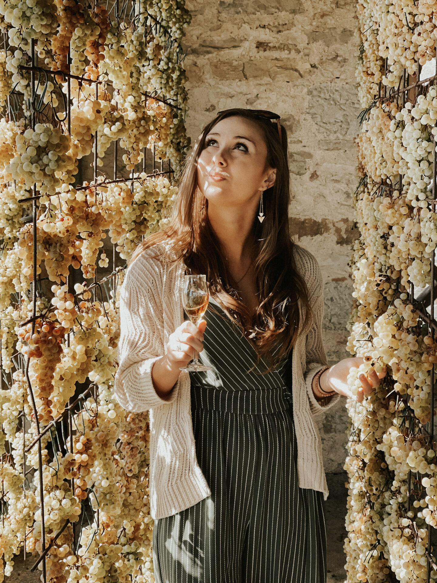 Castello di Meleto Vin Santo hanging dried grapes