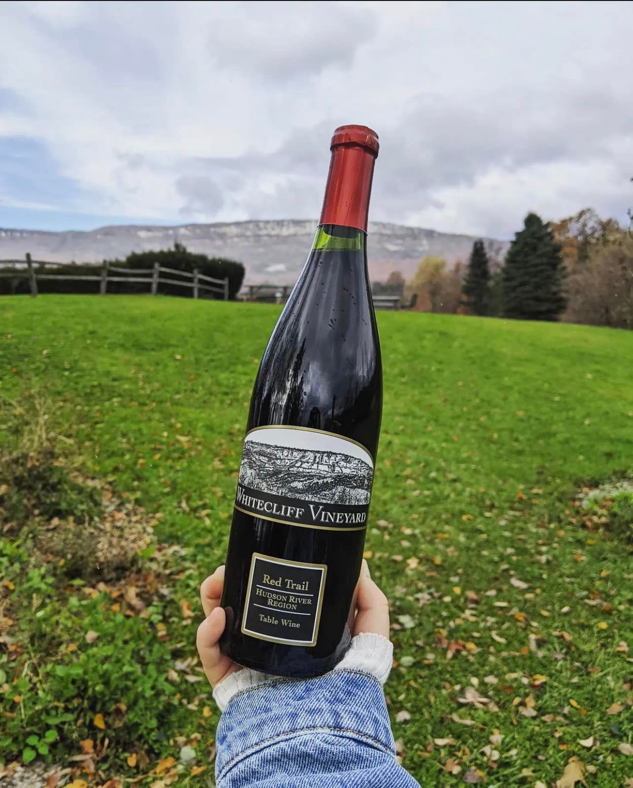 Hand Holding bottle of wine with view of mountains in background