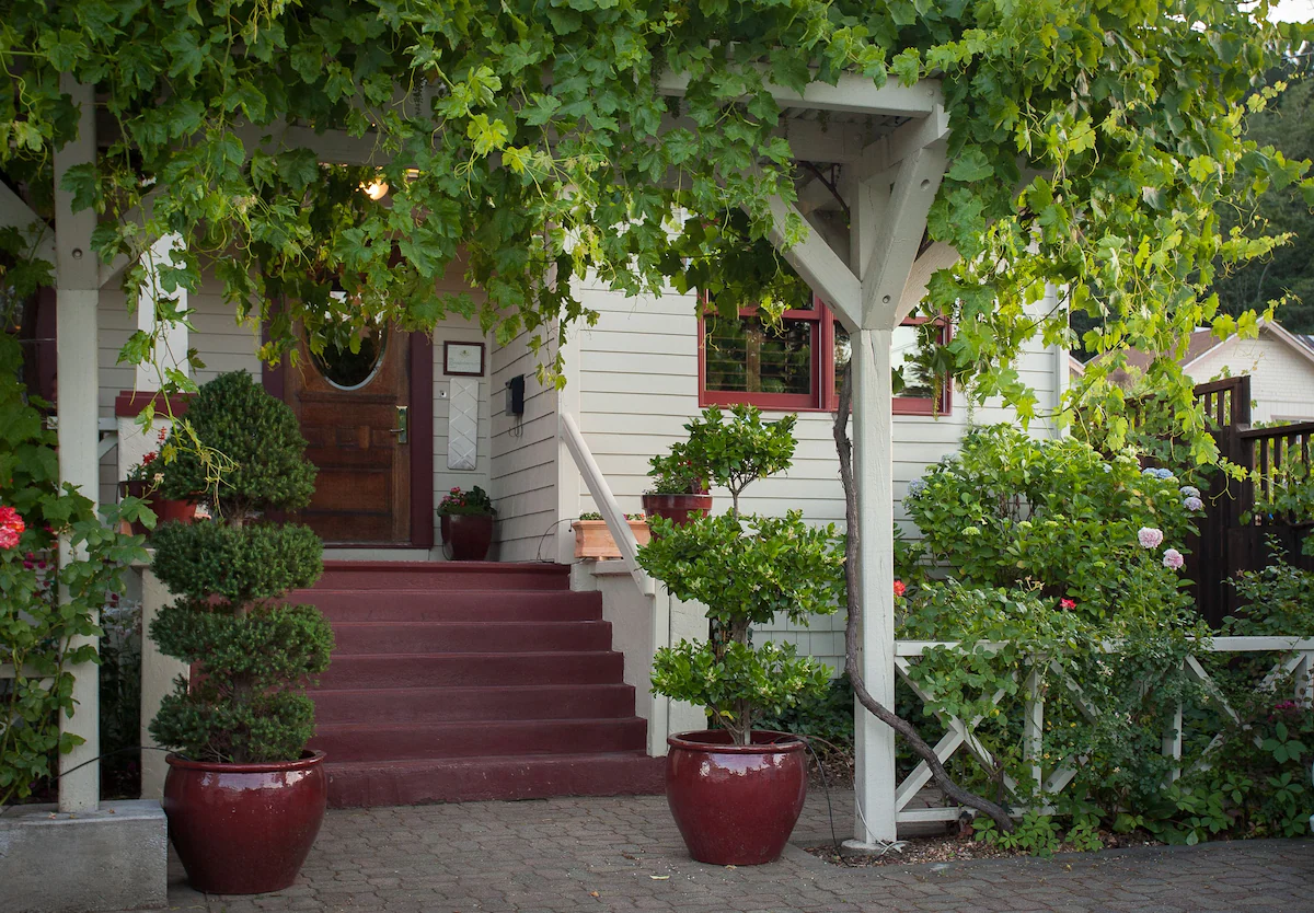 Exterior of craftsman home with growing vines