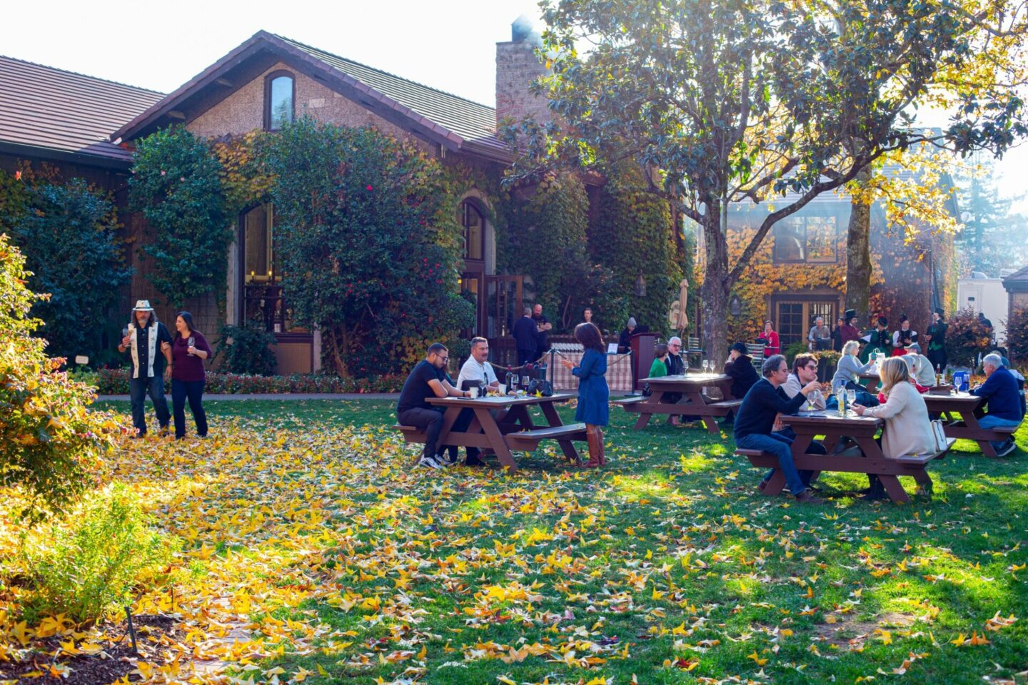 People enjoy an outdoor picnic area at Dry Creek Vineyard in the fall