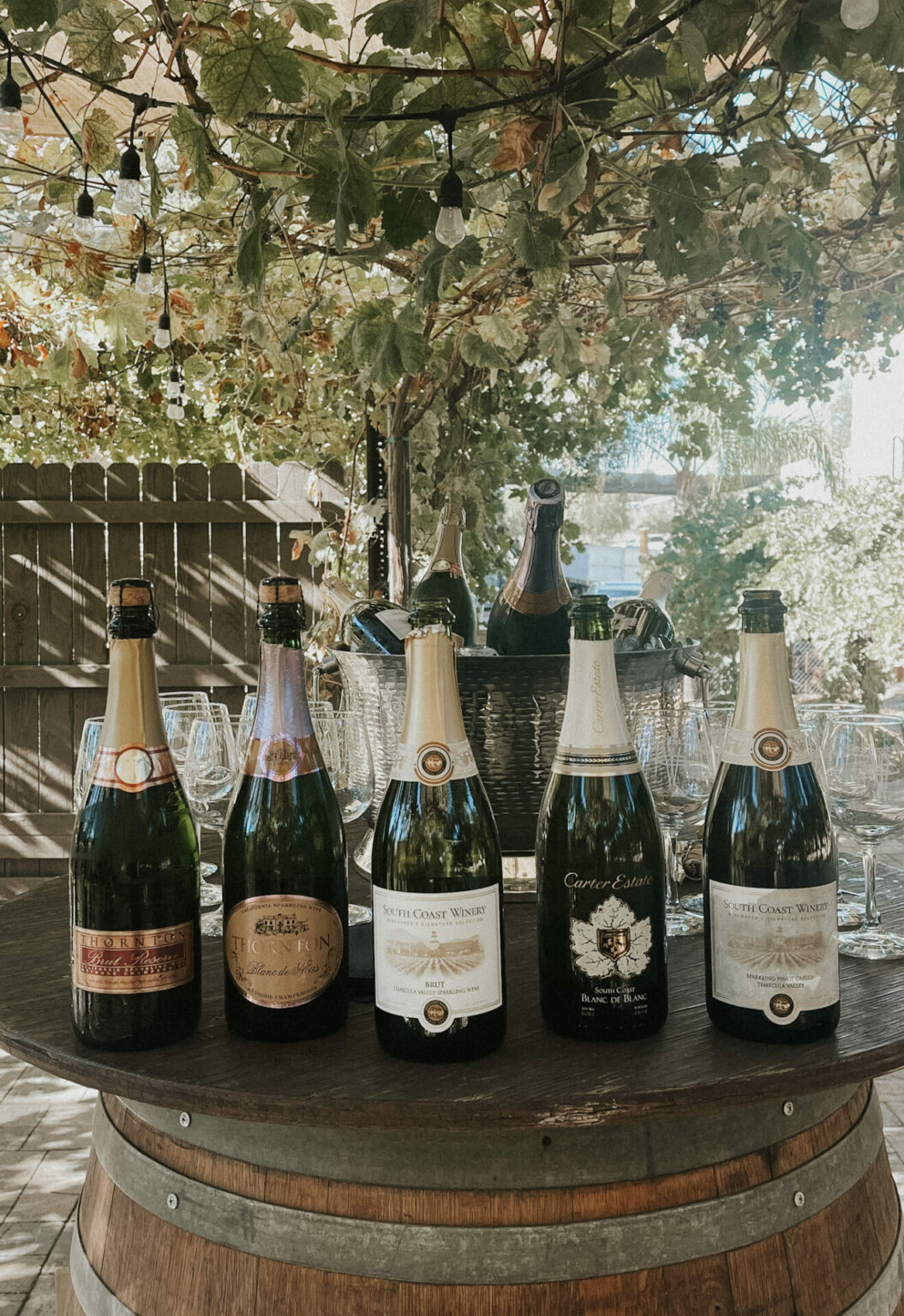 Best Wineries in Temecula A Place for Every Wine Lover WWP