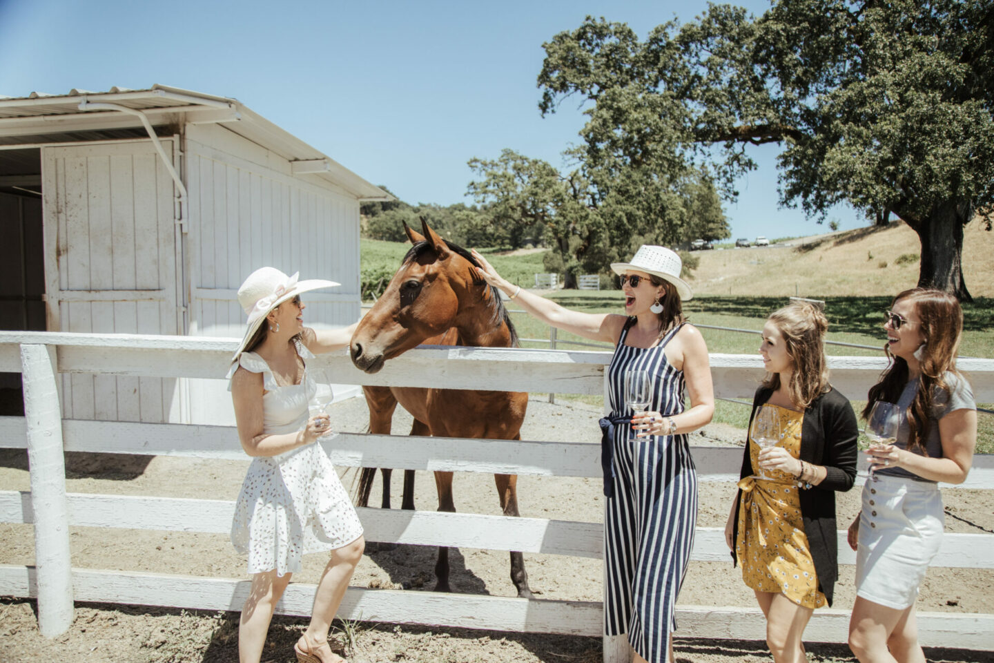 Four women holding wine glasses while petting a horse