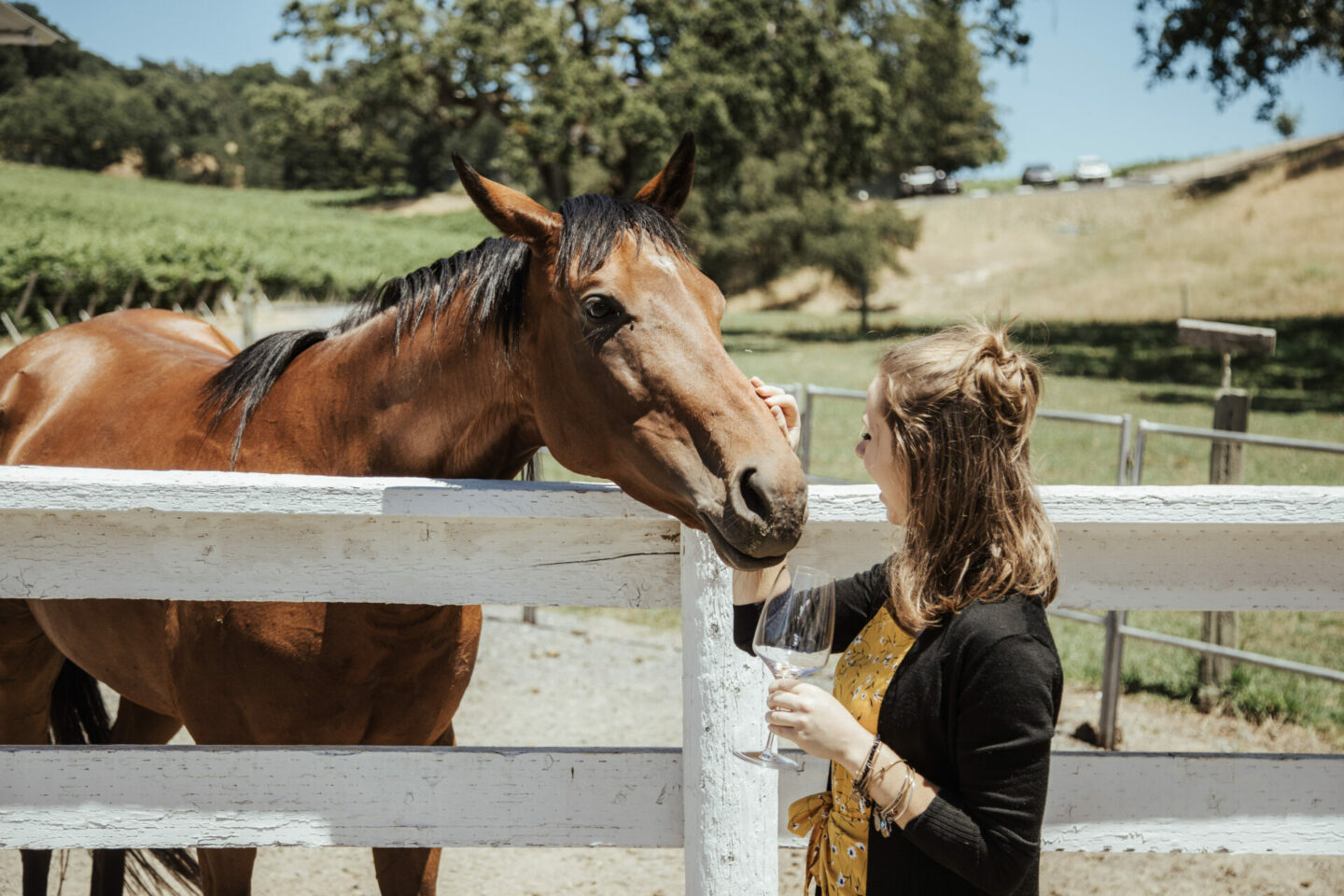 Woman petting a horse while drinking a glass of wine