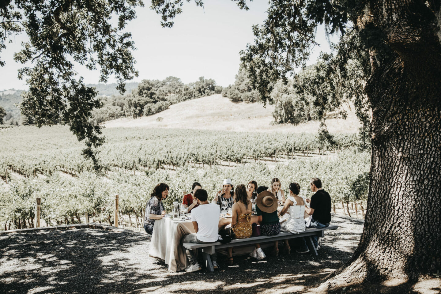 People gathered around a large table, surrounded by vineyard vines