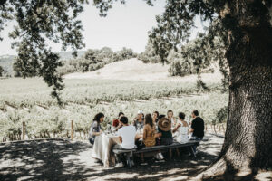 People gathered around a large table, surrounded by vineyard vines