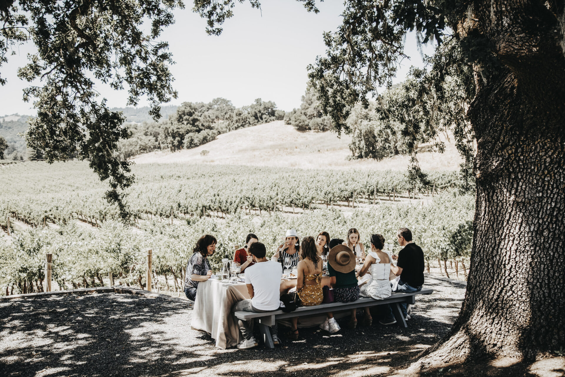 People gathered around a large table, surrounded by vineyard vines
