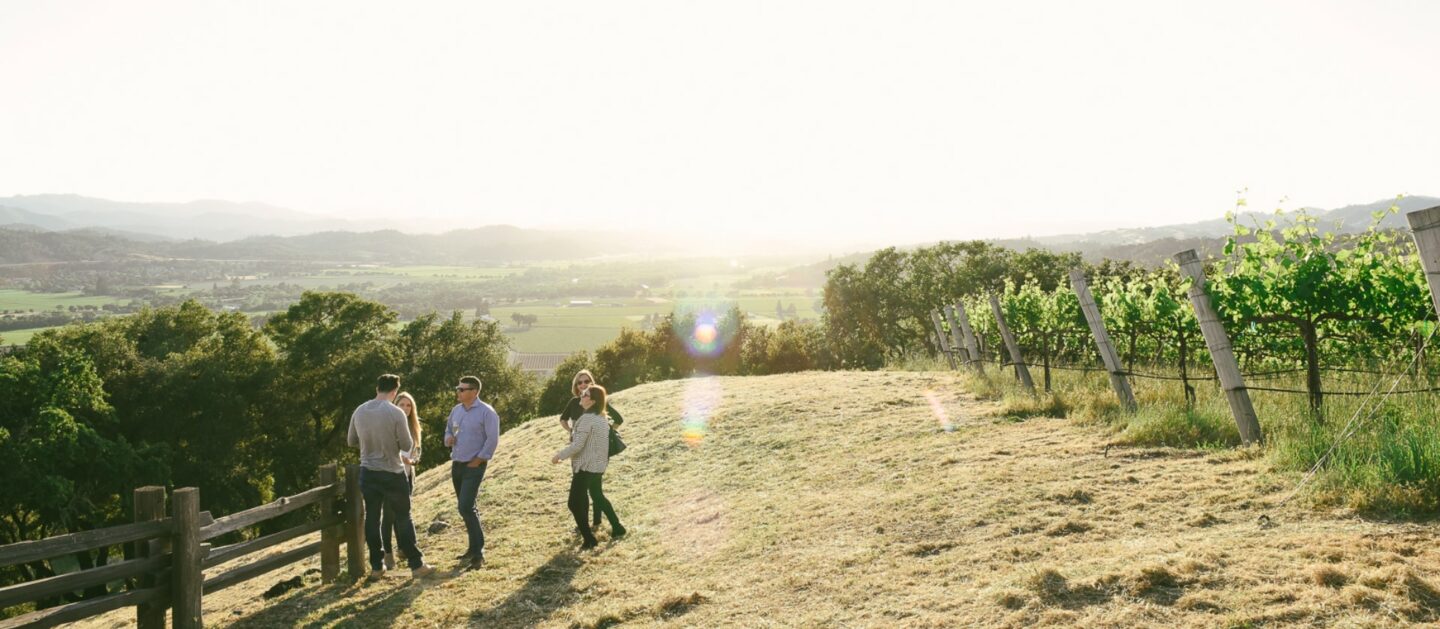 Wine tasting overlooking a valley below