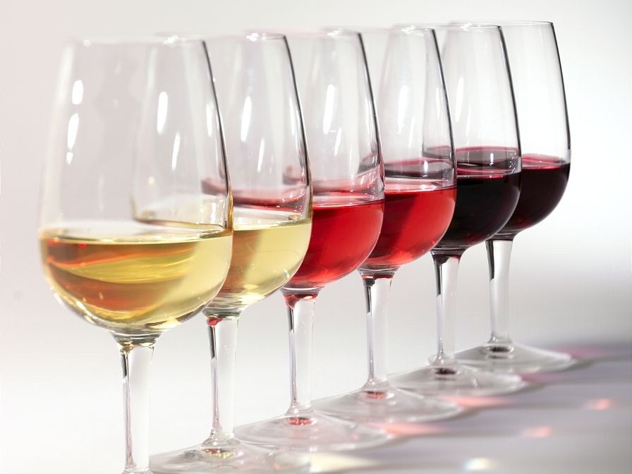 Muscadine wine flight - white muscadine, rose muscadine, and red muscadine wine