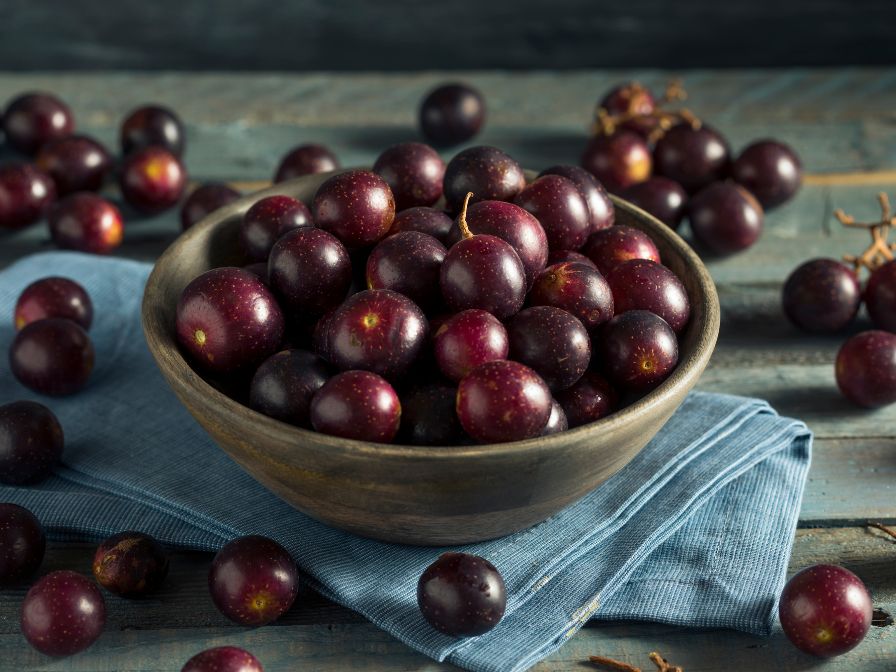Muscadine wine grapes in a bowl