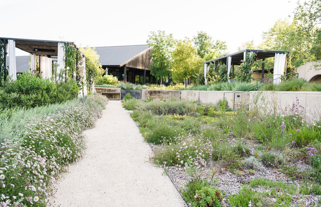 View of outdoor seating and building at Flowers Vineyards and Winery