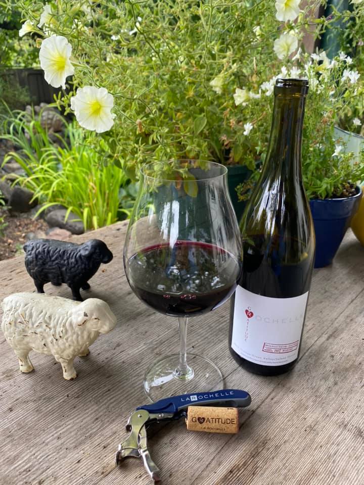 A bottle of red wine resting on a table by a pond