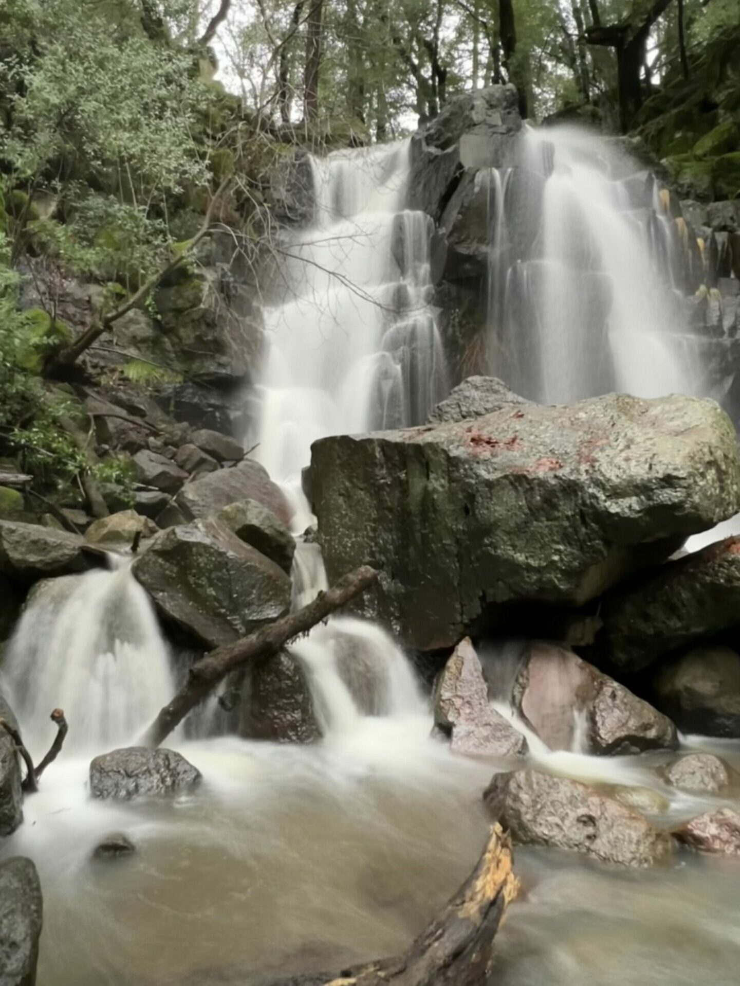 Linda Falls at Las Posadas State Forest in Napa Valley