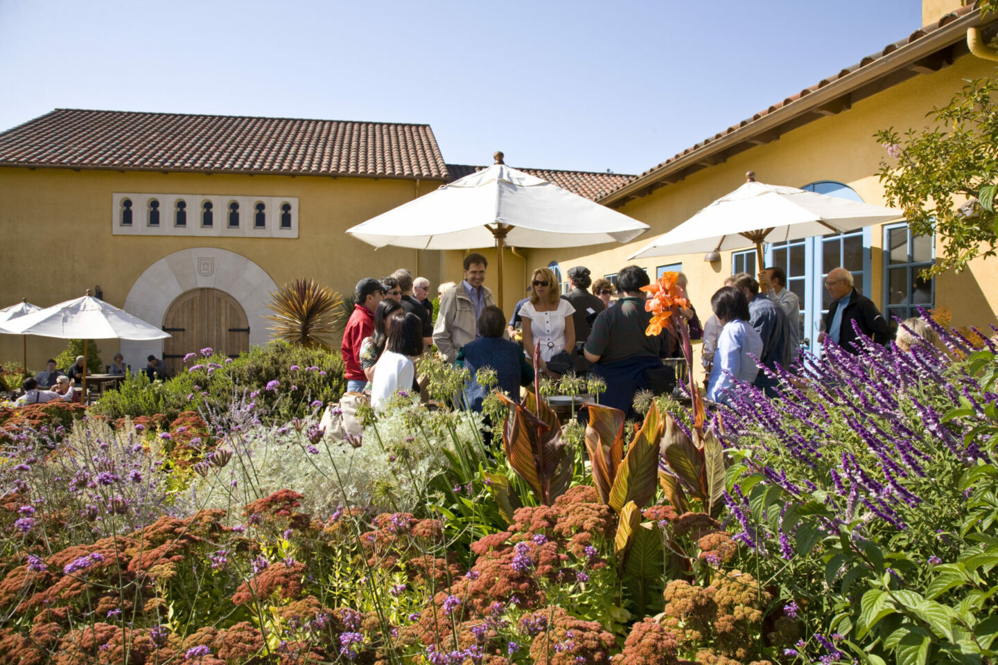 People staying out on the outdoor patio garden at Marimar Estate Winery in Sebastopol, CA