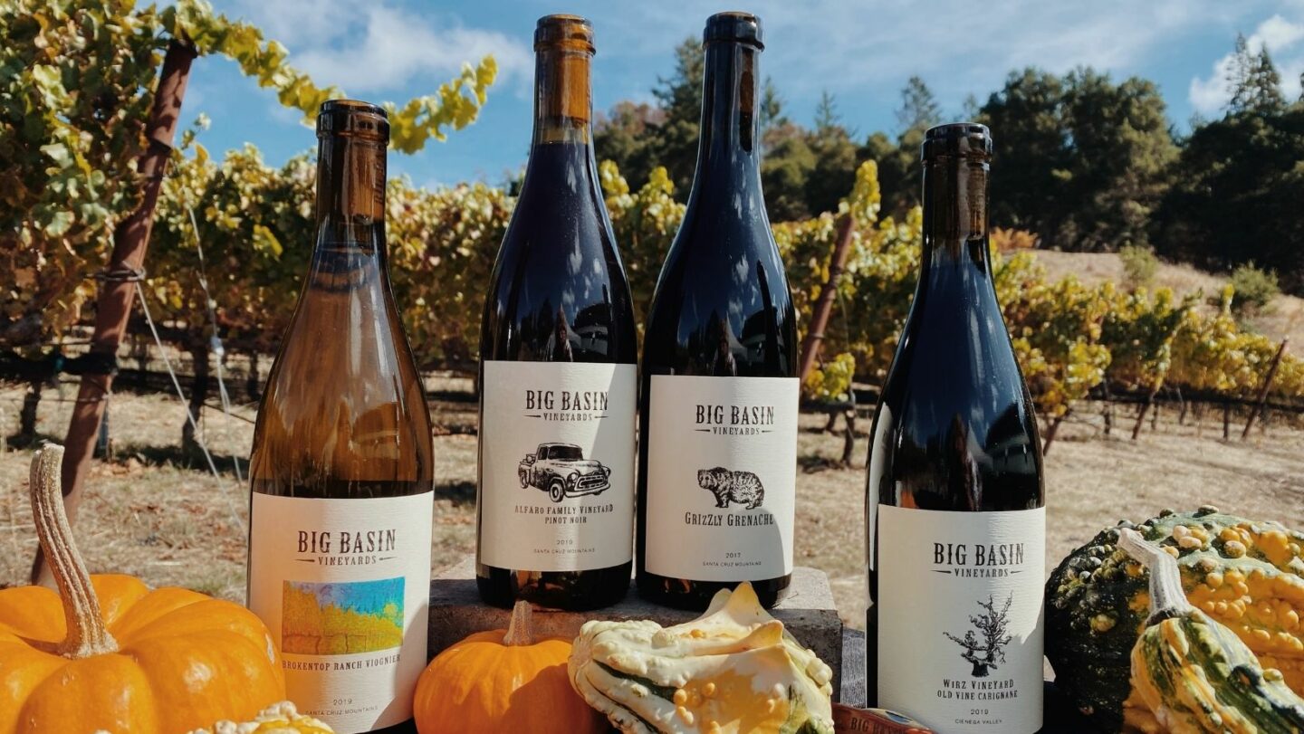 Four bottles of wine pictured with gourds and vineyard vines in the background