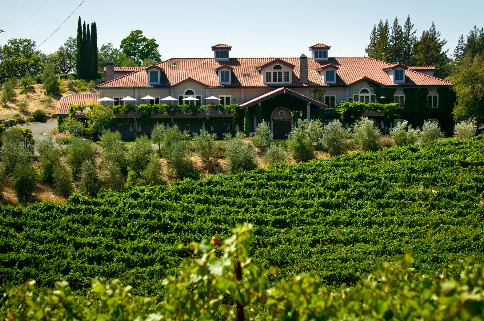 Image of vineyard rows set in front of a Spanish style vila