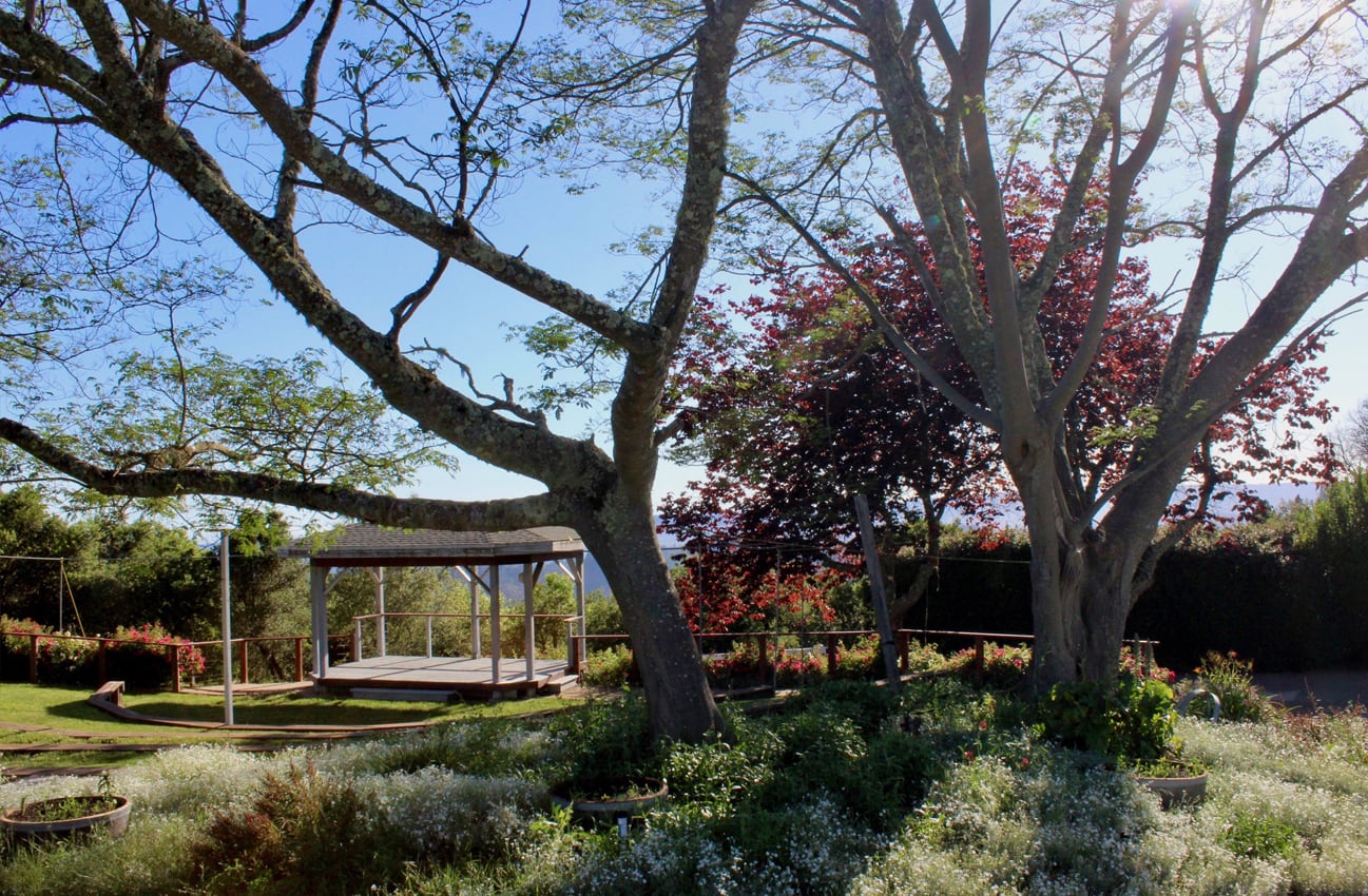 Outdoor amphitheater set among shade of trees and views of surrounding mountains in the distance