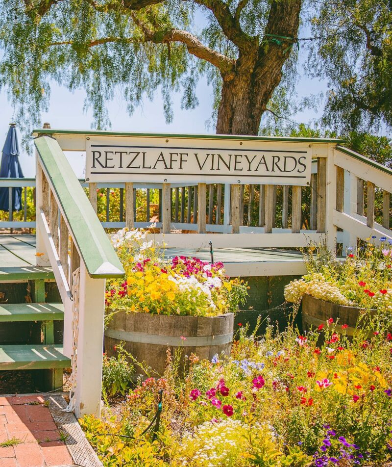 The Best Wineries in Livermore Valley Wine with Paige