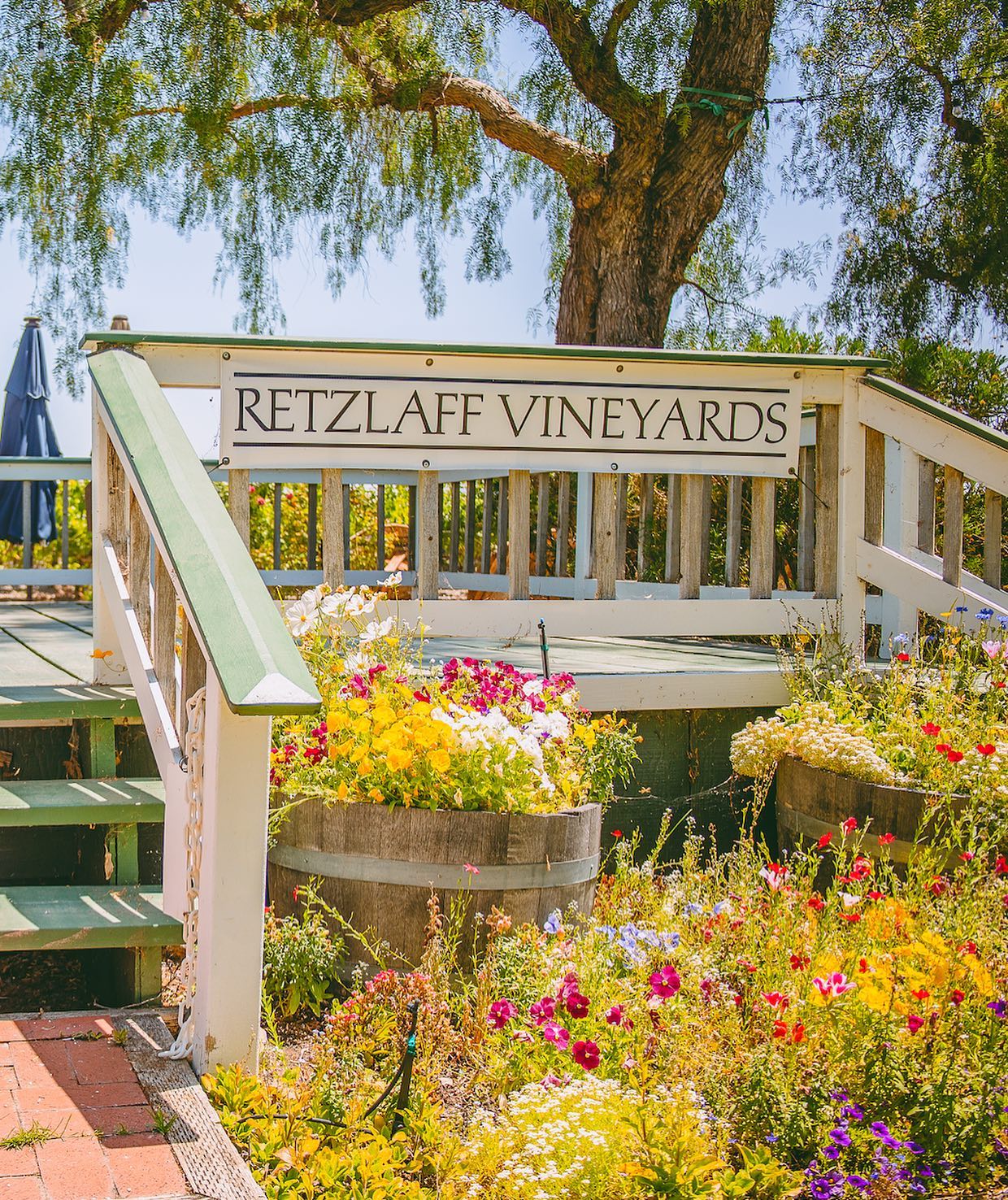 Outdoor patio pavilion surrounded by beautiful flowers at Retzlaff Vineyards