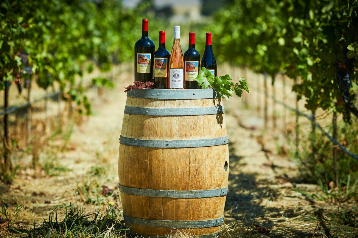 Several bottles of wine photographed on top of an oak barrel in the middle of Wood Family Vineyards