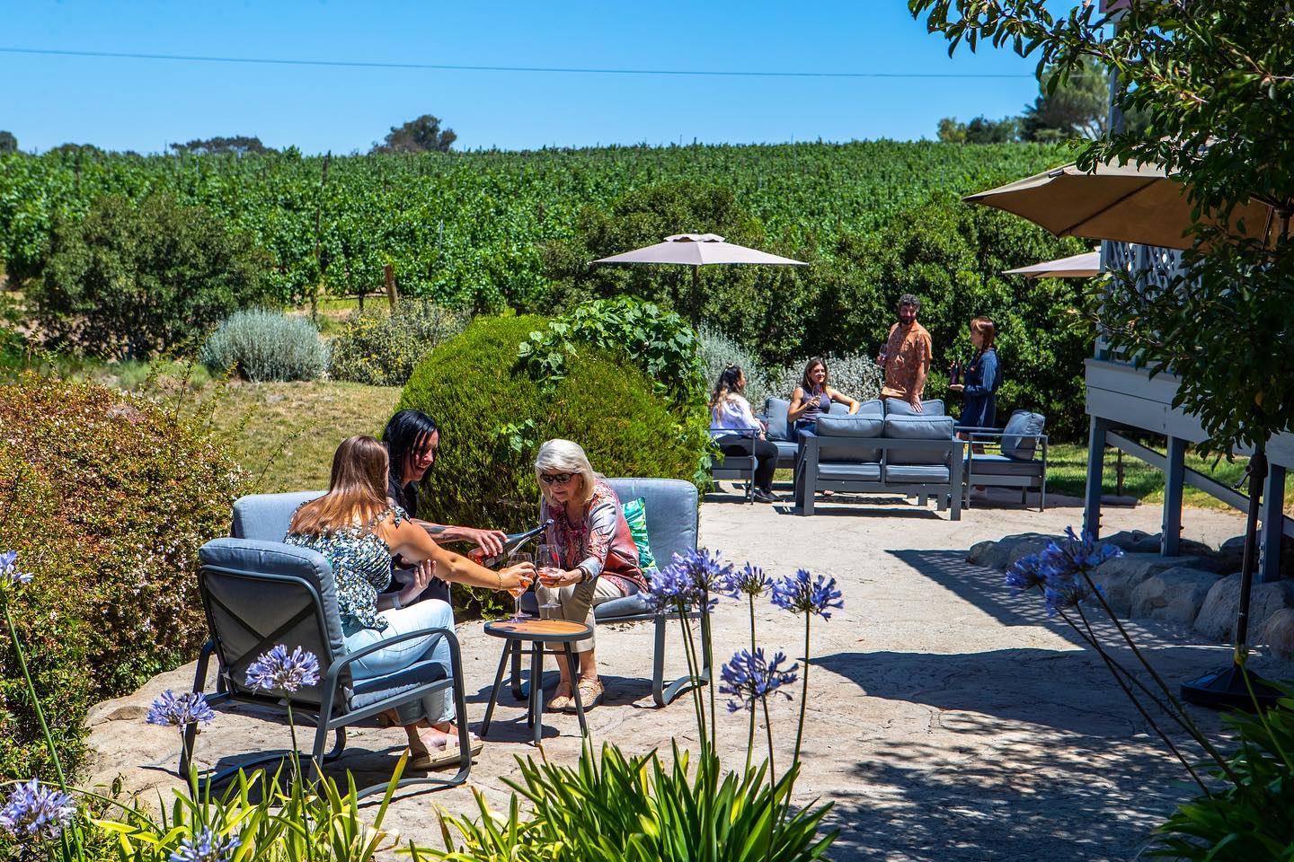 People sitting on an outdoor patio drinking wine in Santa Barbara