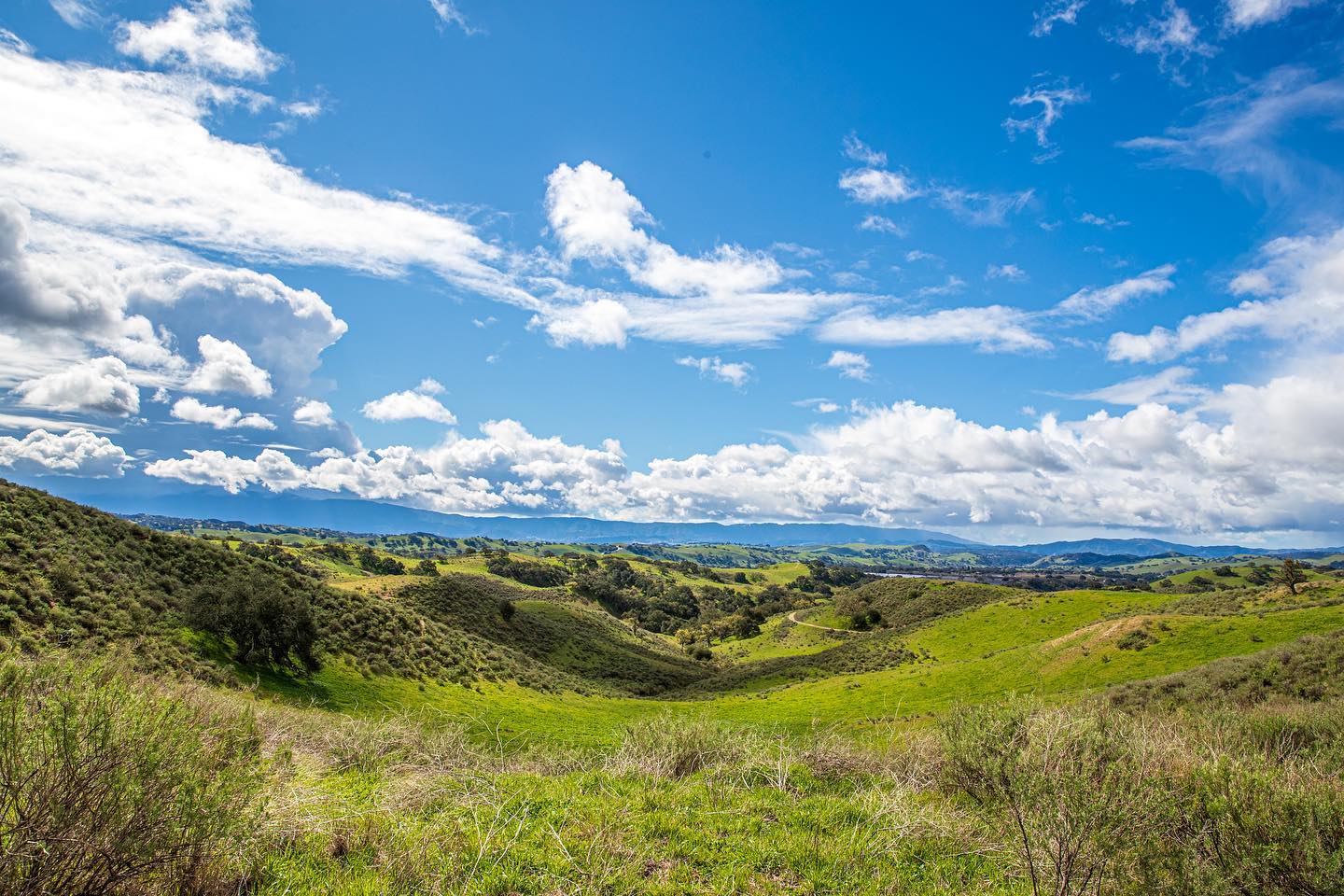 Scenic views of Demetri Estate