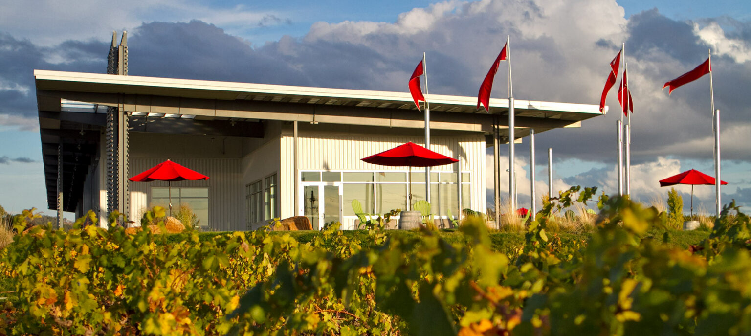 Amador County Wineries Uncorking Gold Wine with Paige