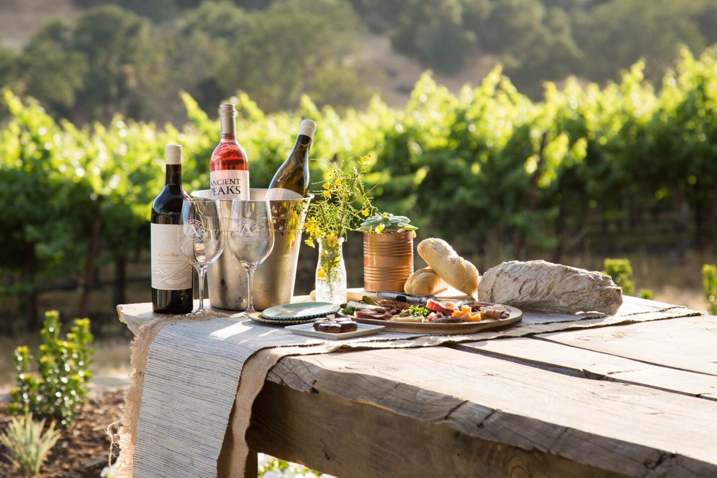 Wines and bread sitting on a table in a vineyard