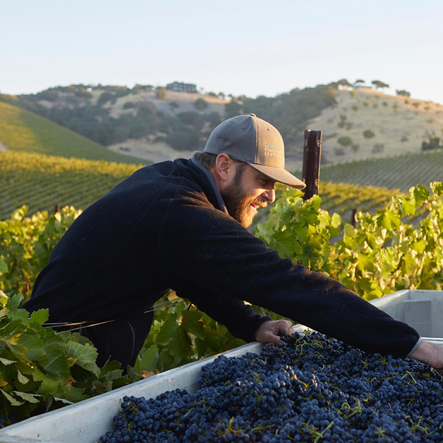 Man working the fields at Epoch Estate