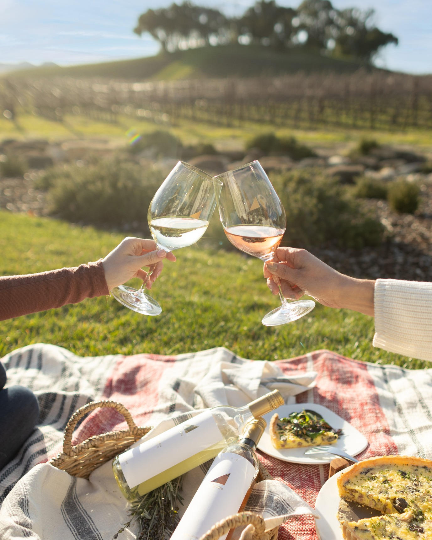 Clinking wine glasses at an outdoor picnic at a winery