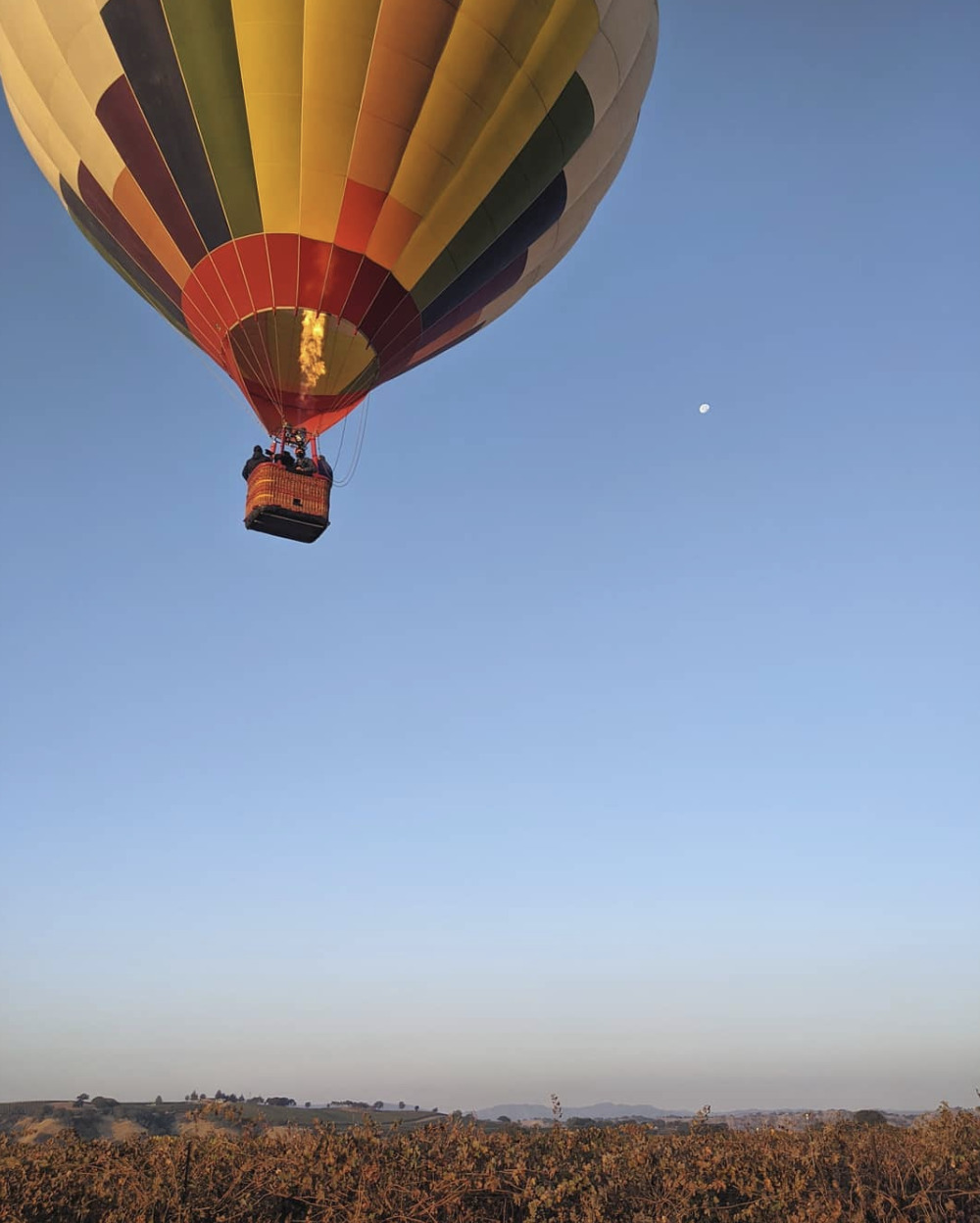 hot air balloon flying over Paso Robles, CA