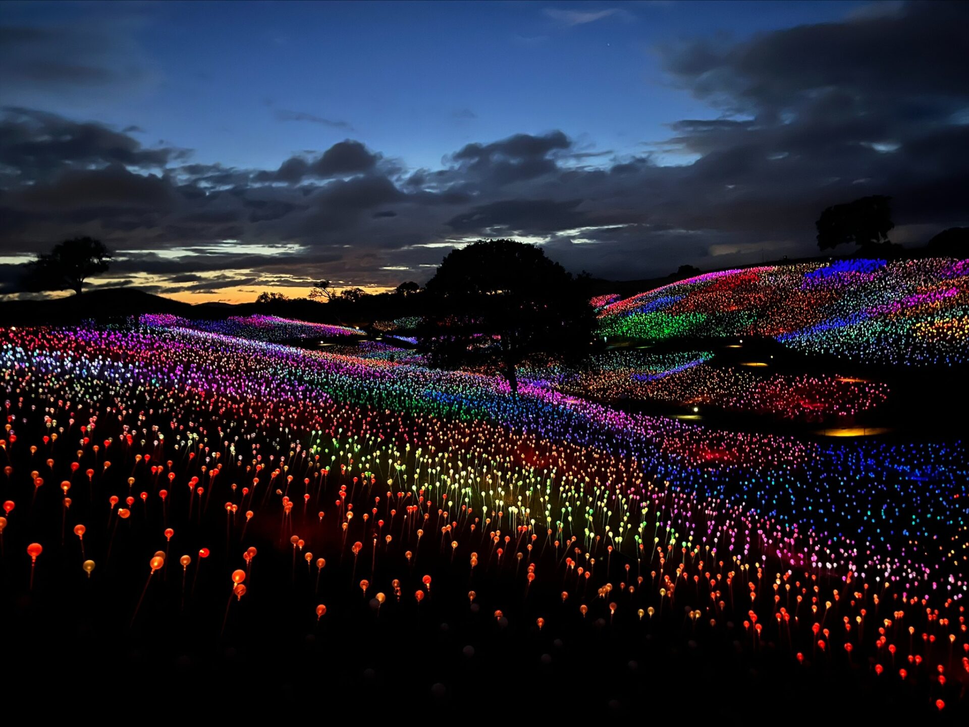 Illumination display in Paso Robles, CA