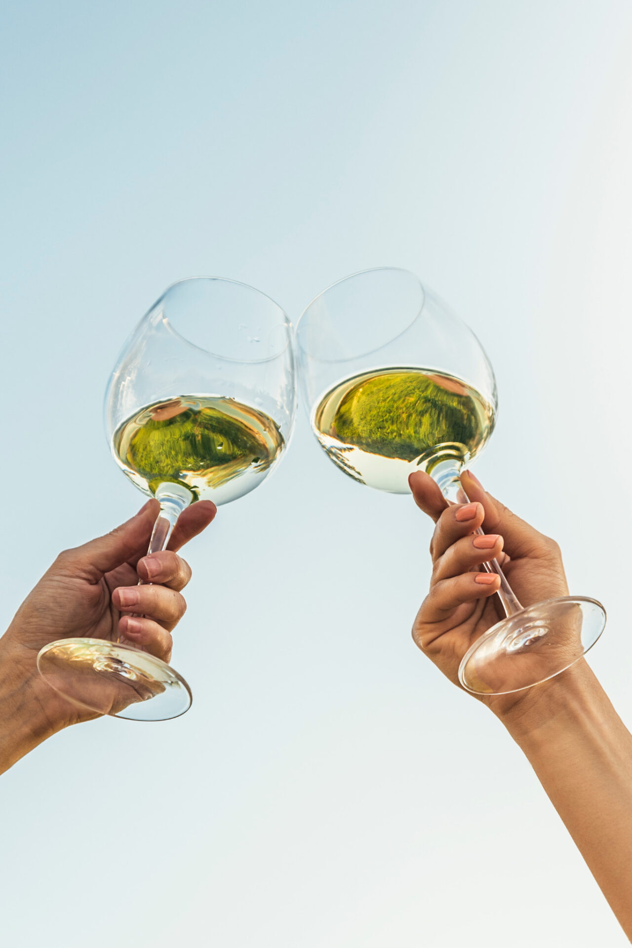 Calories in Pinot Grigio - two glasses of white wine held to the blue sky