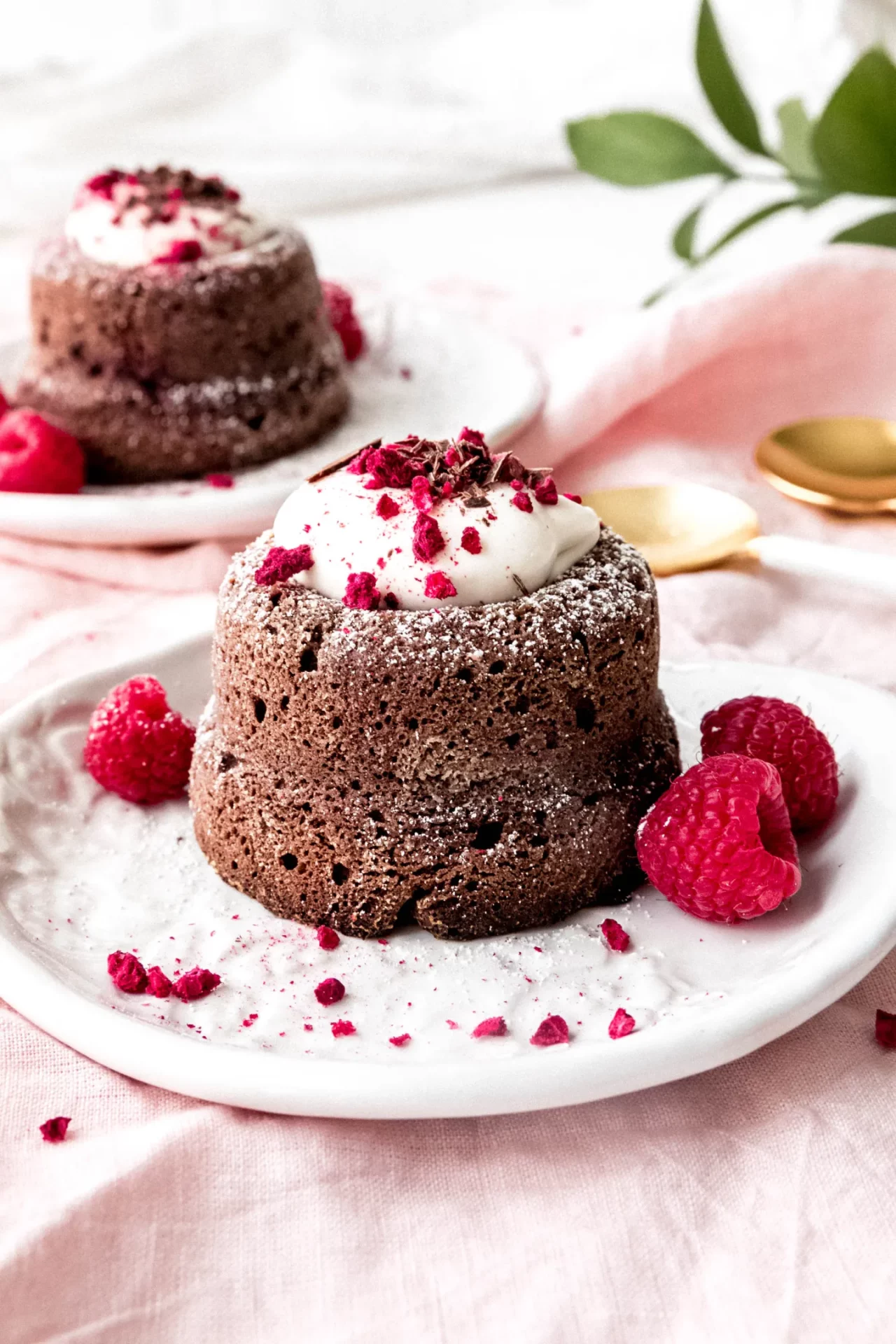 Chocolate molten lava cake with raspberries