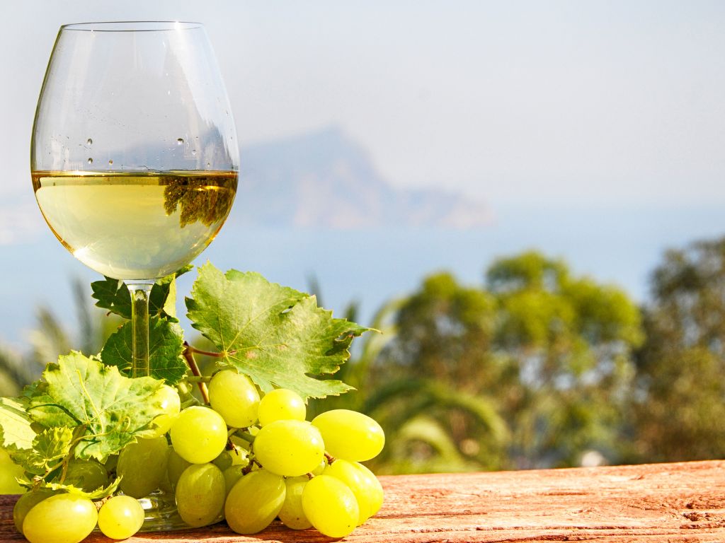 Sauvignon Blanc dry white wine in a glass next to Sauvignon Blanc grapes