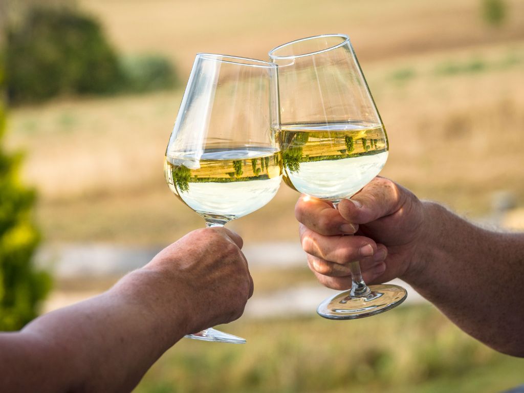 Best New Zealand Sauvignon Blanc in a white wine glass cheersing