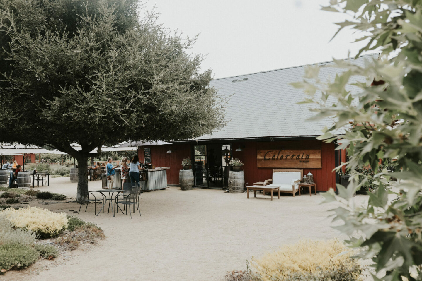 Calerrain Winery in Santa Clara Valley