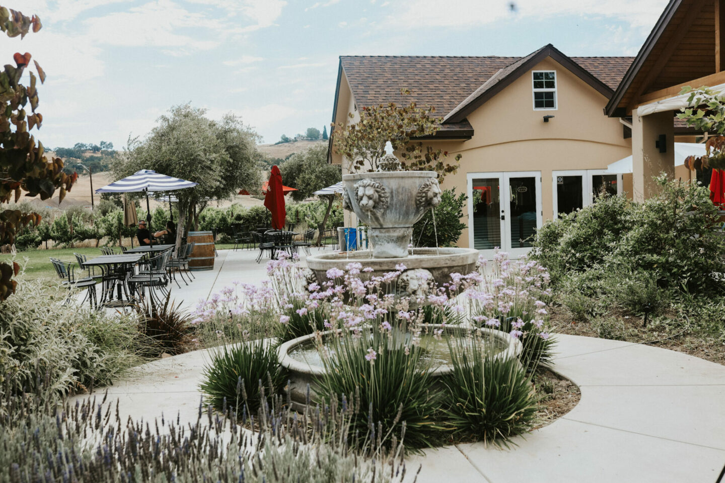 Lion Ranch tasting room in Santa Clara Valley