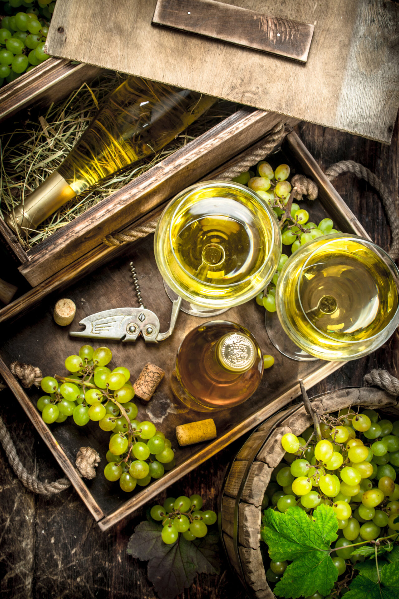 Two glasses of Sauvignon Blanc surrounded by white wine bottles and grapes
