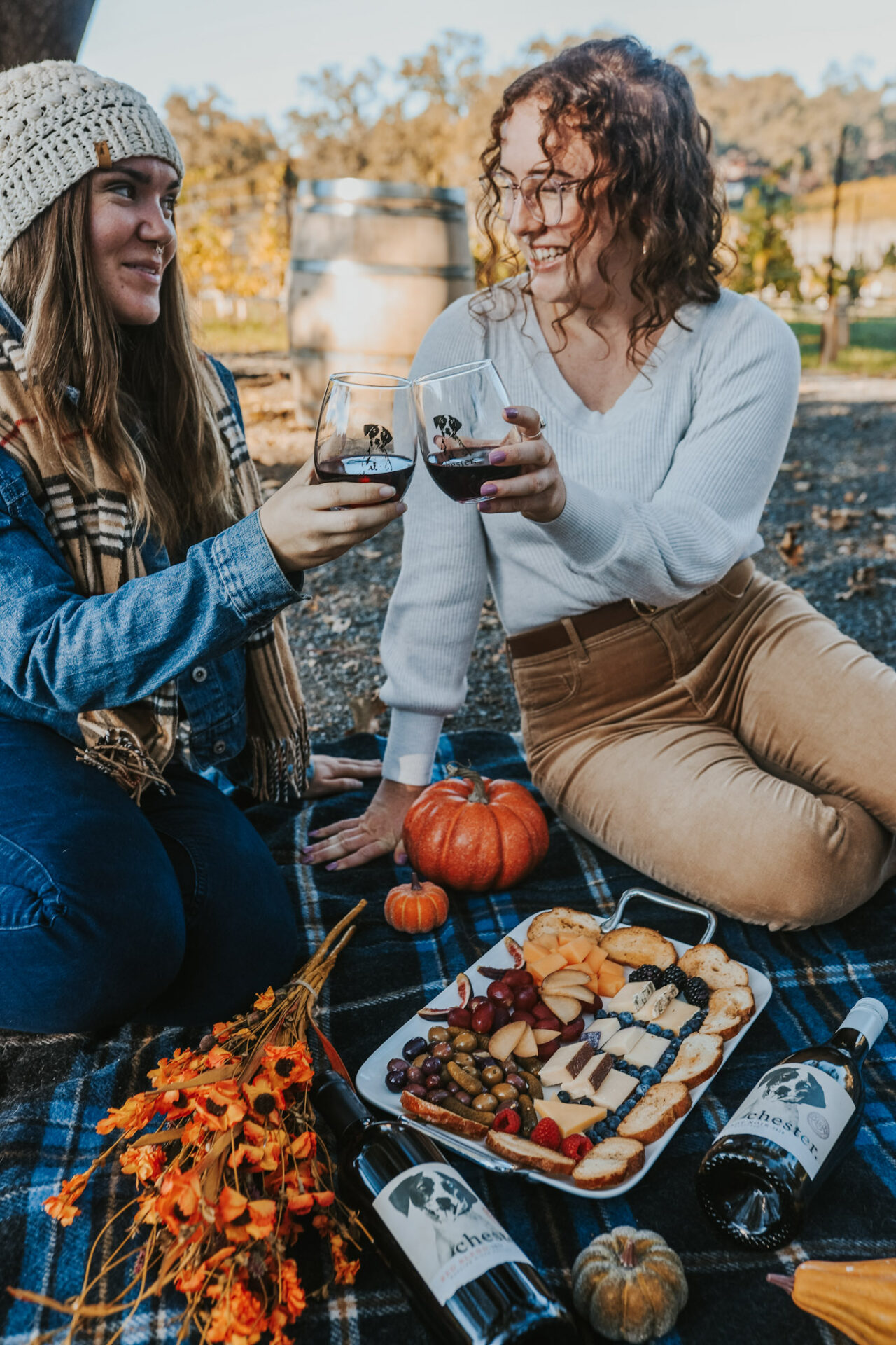 Two women drinking Dry Red Wine on a fall picnic