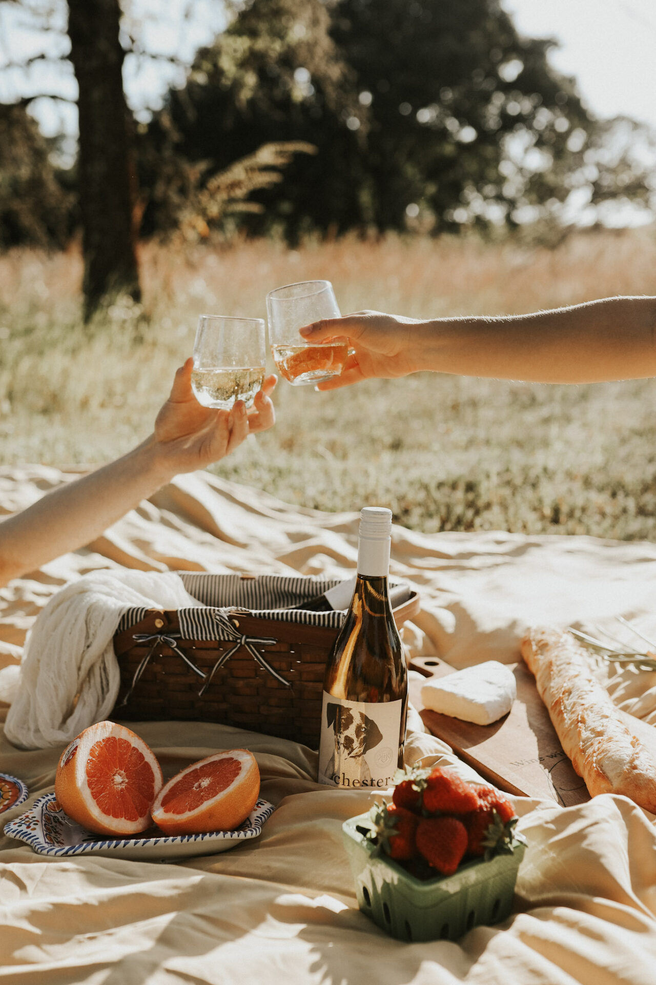 Dry white wine on a picnic with food pairings
