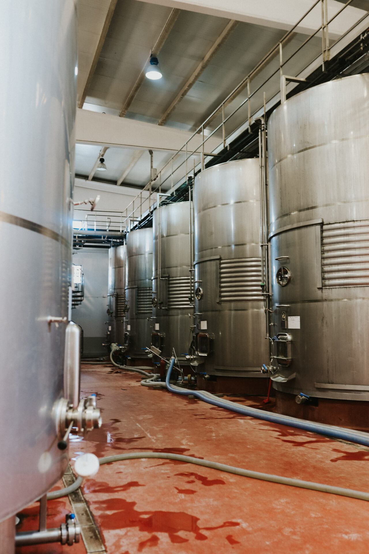 Stainless steel wine tanks for unoaked chardonnay
