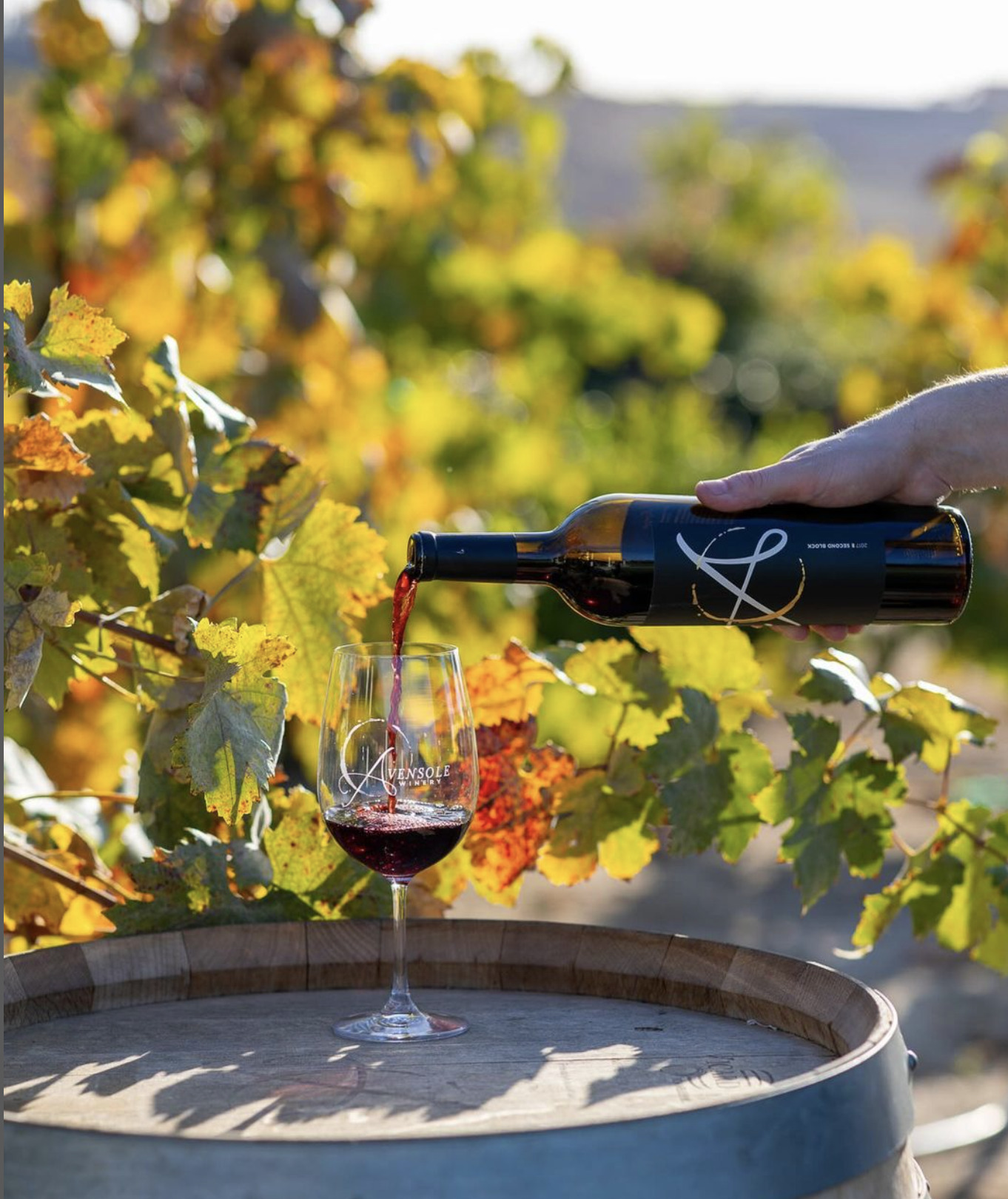 Avensole wine being poured into a glass on top of a barrel in the vineyard