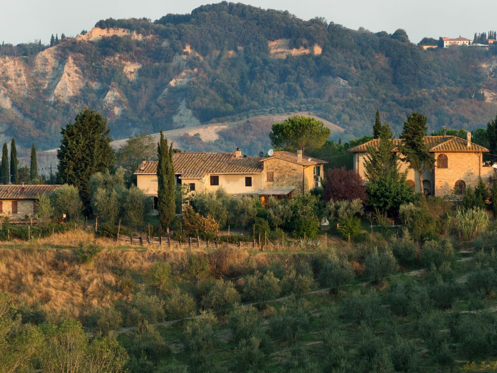 Nero d'Avola growing region