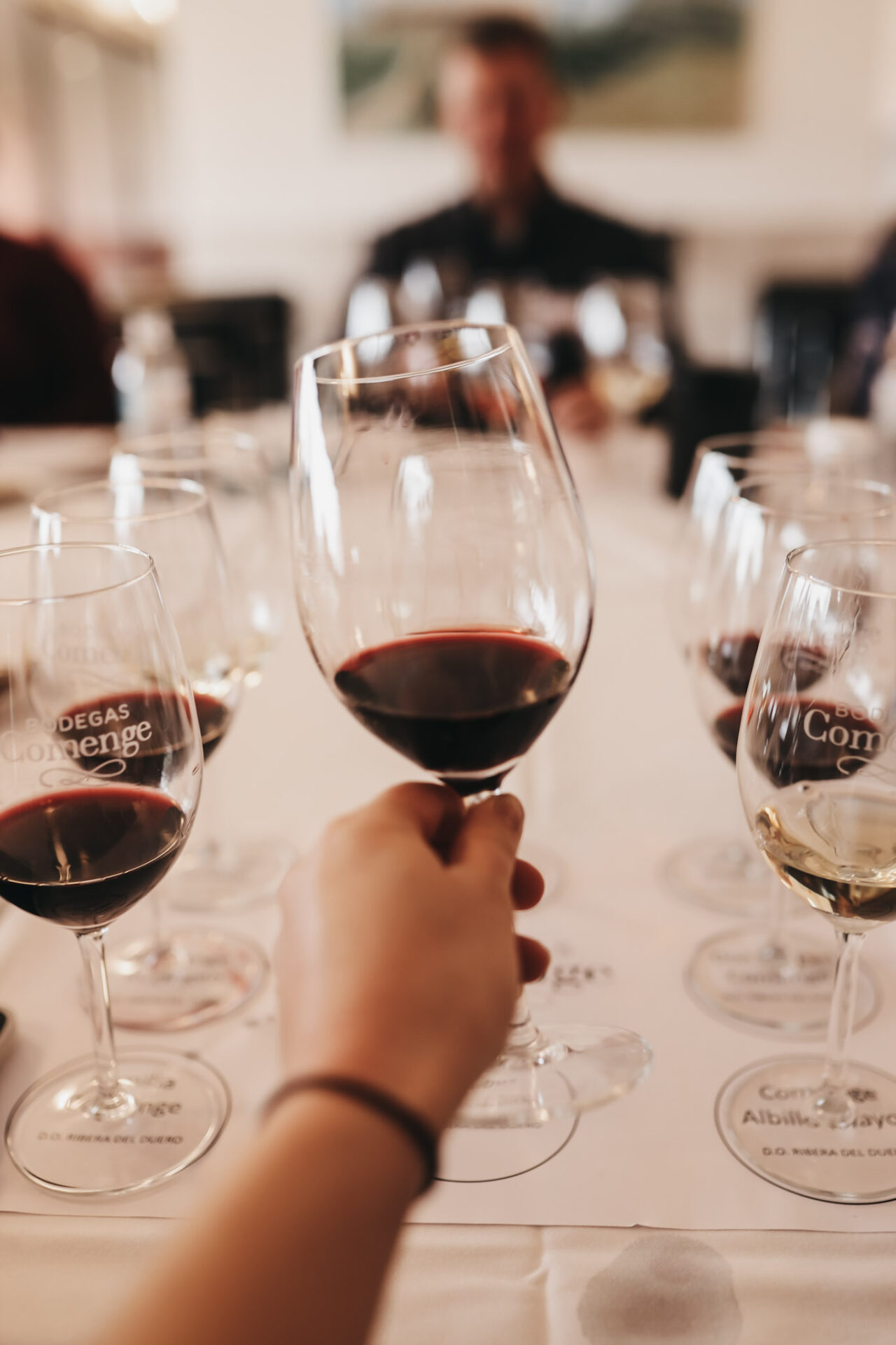 Tempranillo Wine in a glass held by a hand