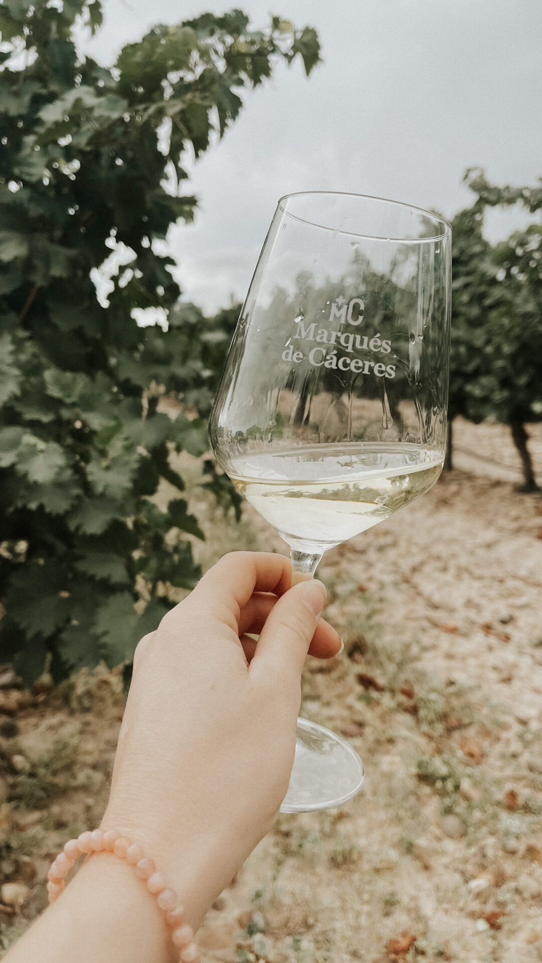 Marques de caceres spanish white wine in a glass in a vineyard