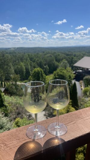 Two glasses of white wine set on the railing overlooking the rolling foothills in North Georgia