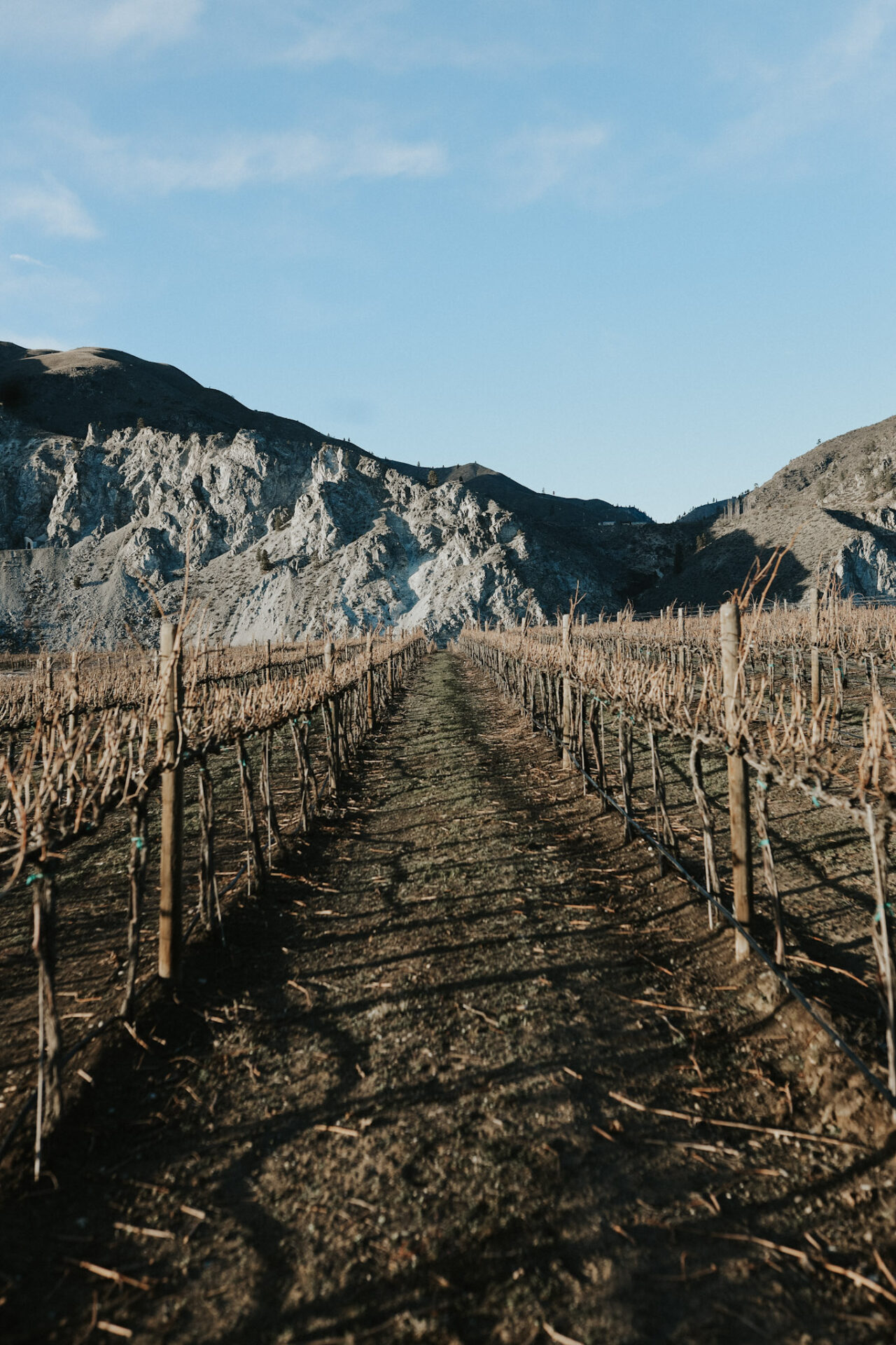 Rocky Pond Estate Vineyard. in Rocky Reach AVA